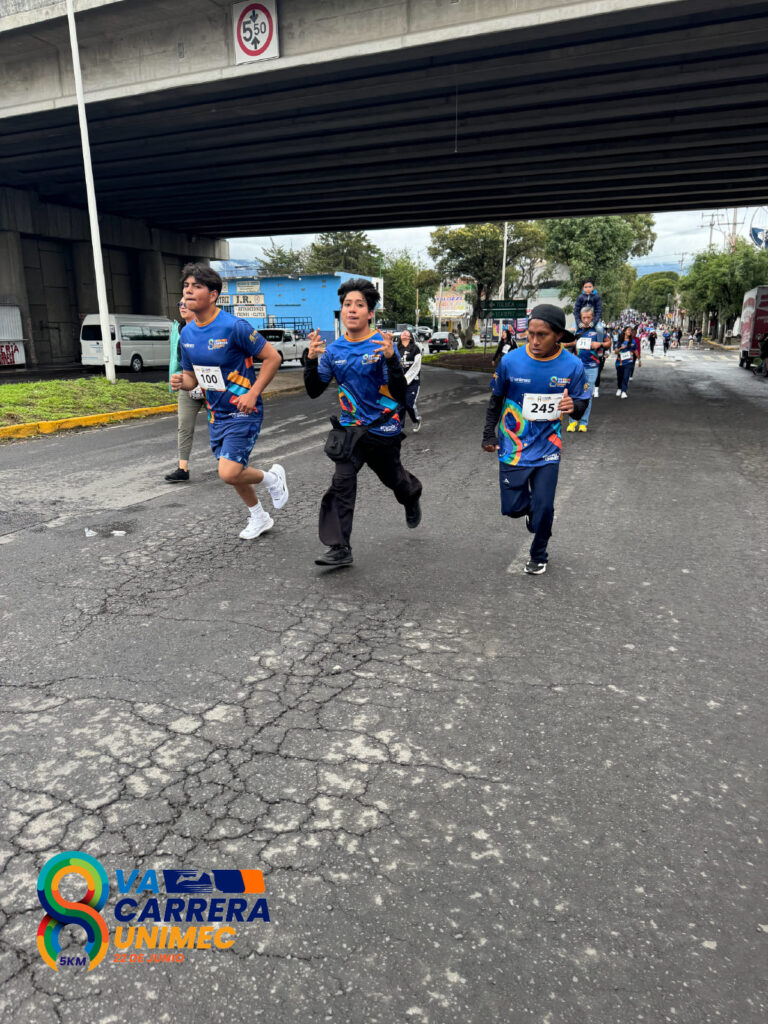 CARRERA UNIMEC-12-100